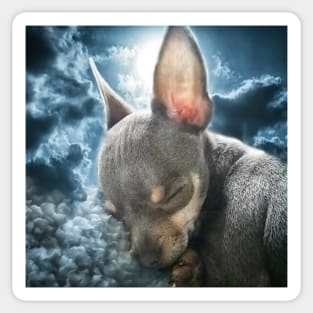 Cute Cheeky Chihuahua Face Bedtime Dream art Sticker